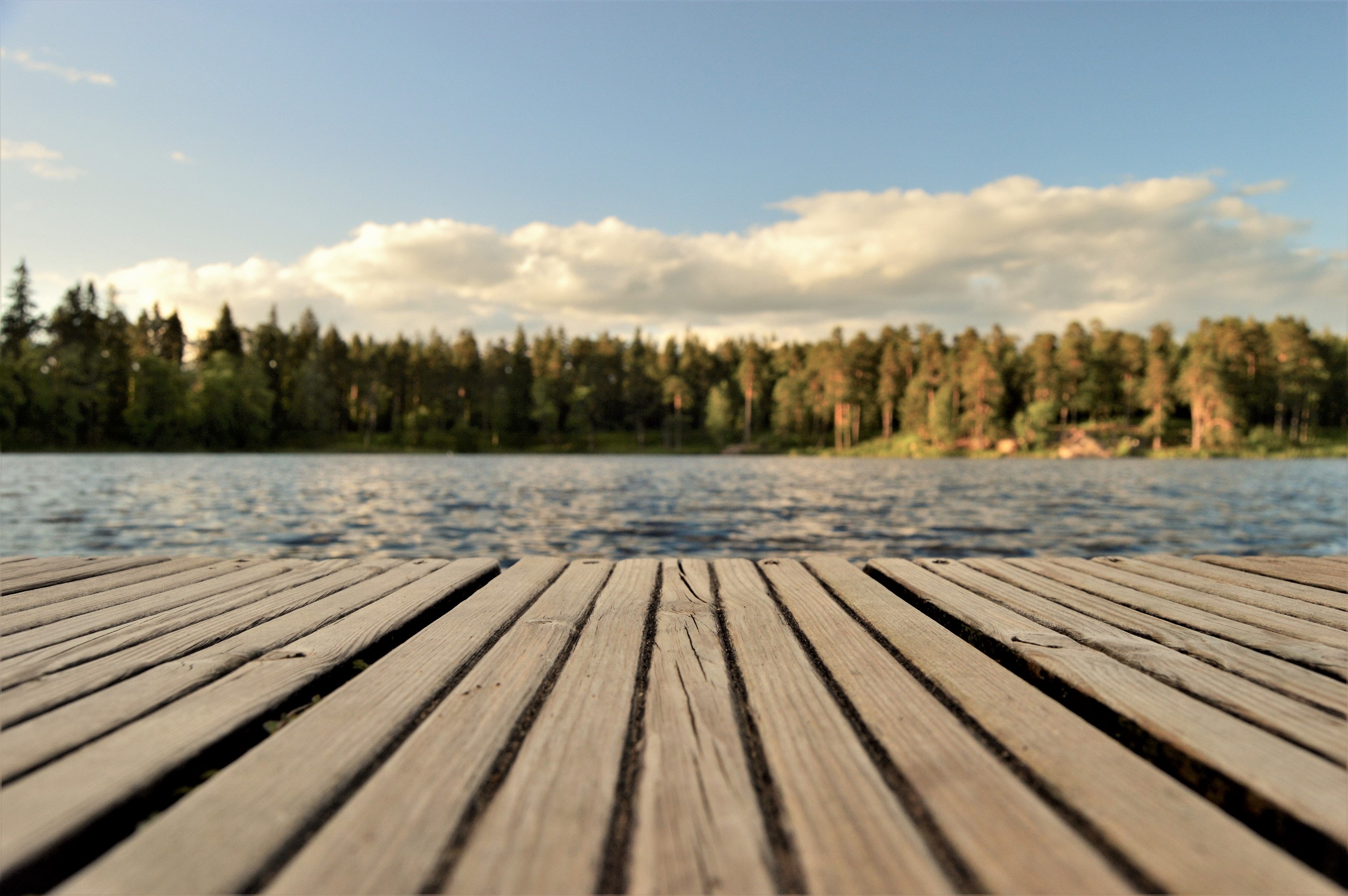 A serene wooden dock on a lake, surrounded by lush trees, inviting new possibilities for waterfront enjoyment. Dockshare.