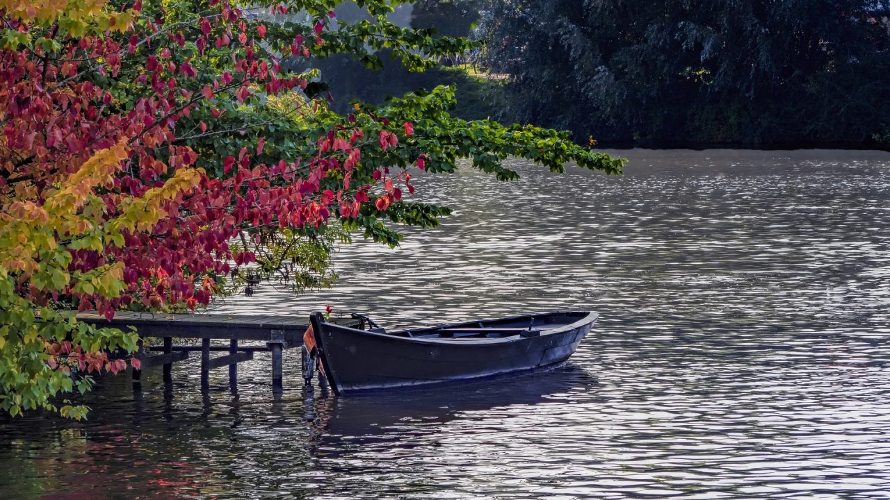 On a Dockshare dock, a man holds a fishing rod, ready for a relaxing day of fishing amidst the beautiful autumn scenery.